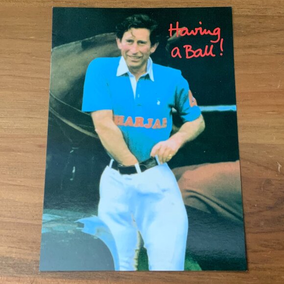 VINTAGE COLOUR POSTCARD - HUMOROUS PICTURE OF A YOUNG KING CHARLES III - Picture 1 of 2